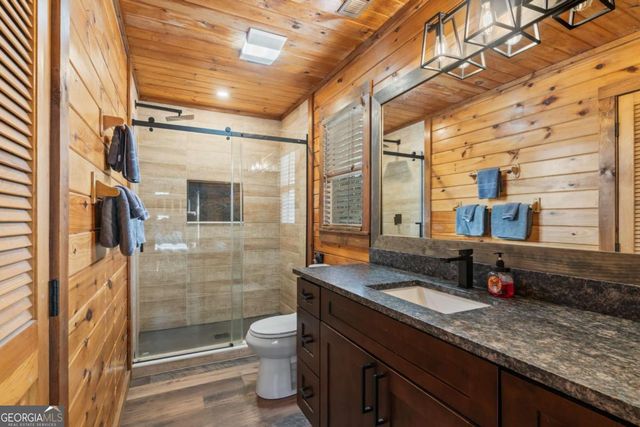 162 Little Falls Drive, Mineral Bluff, GA 30559