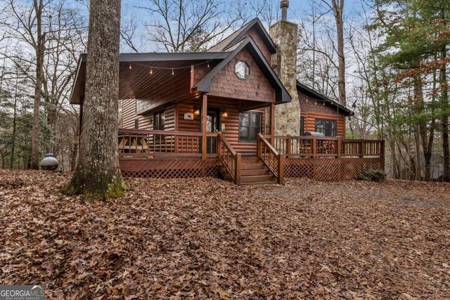 162 Little Falls Drive, Mineral Bluff, GA 30559