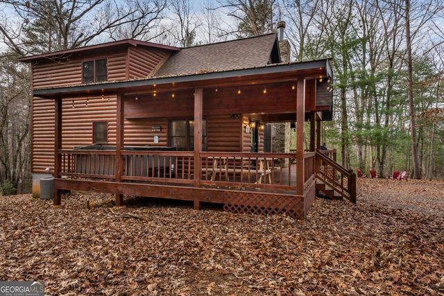 162 Little Falls Drive, Mineral Bluff, GA 30559