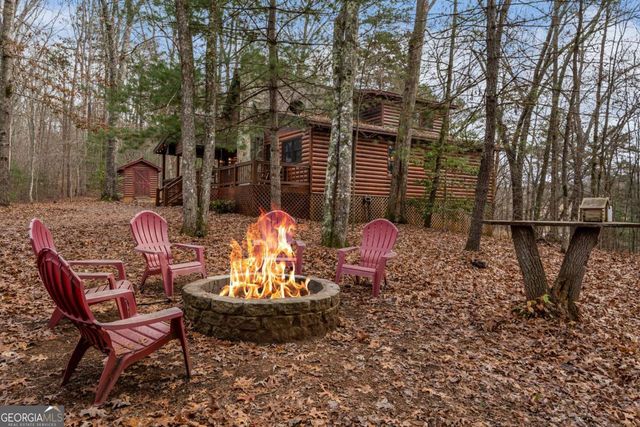 162 Little Falls Drive, Mineral Bluff, GA 30559