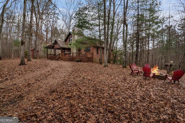 162 Little Falls Drive, Mineral Bluff, GA 30559