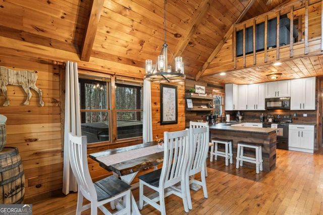 162 Little Falls Drive, Mineral Bluff, GA 30559