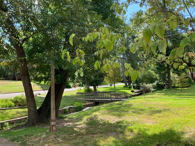 1319 Belmont Dr., Tyler, TX 75701