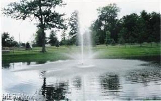 16298 Weathervane Drive, Middlefield, OH 44062