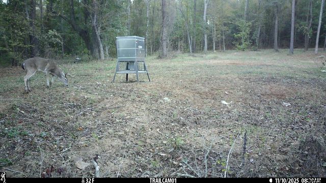 000 CR 354, Winona, TX 75792
