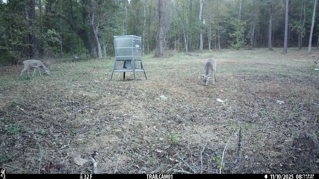 000 CR 354, Winona, TX 75792