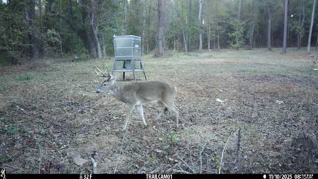 000 CR 354, Winona, TX 75792