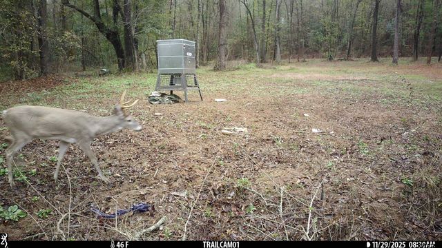 000 CR 354, Winona, TX 75792