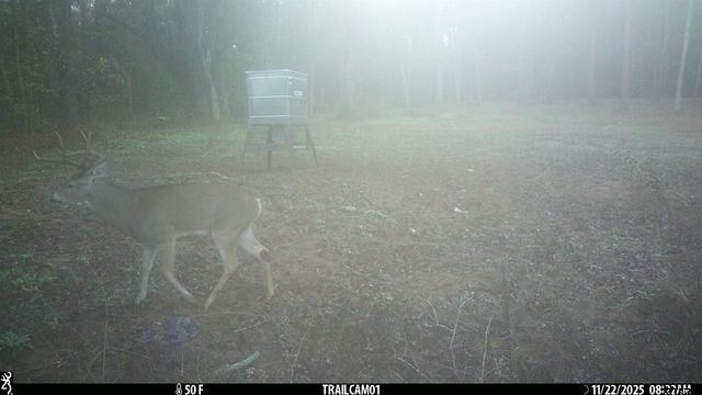 000 CR 354, Winona, TX 75792