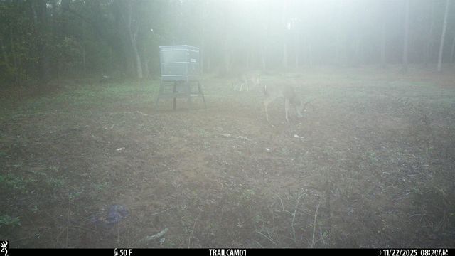 000 CR 354, Winona, TX 75792