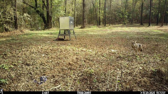 000 CR 354, Winona, TX 75792