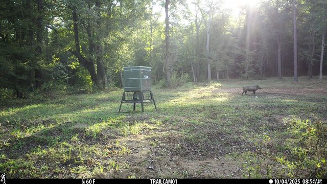 000 CR 354, Winona, TX 75792