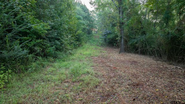 000 CR 354, Winona, TX 75792