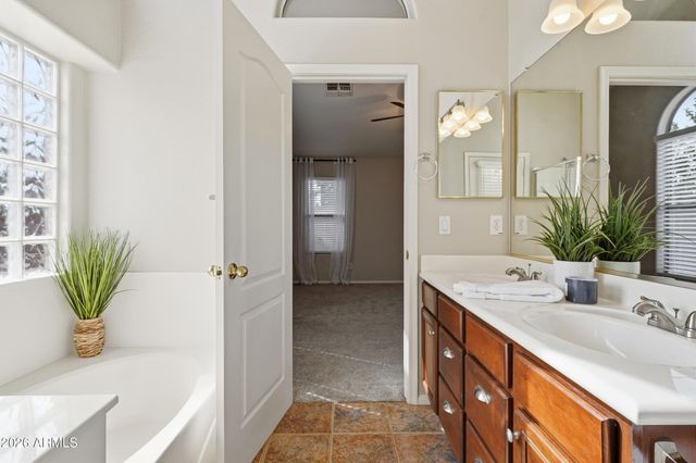 29629 N BLACKFOOT DAISY Drive, San Tan Valley, AZ 85143