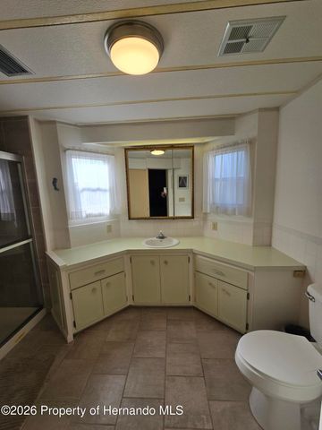 7507 Montrose Avenue, Brooksville, FL 34613