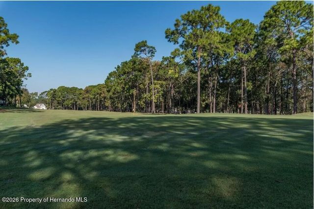 7507 Montrose Avenue, Brooksville, FL 34613