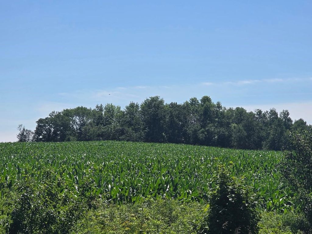 Image 1 of property listing at 00 110th Street, Frederic, WI 54837