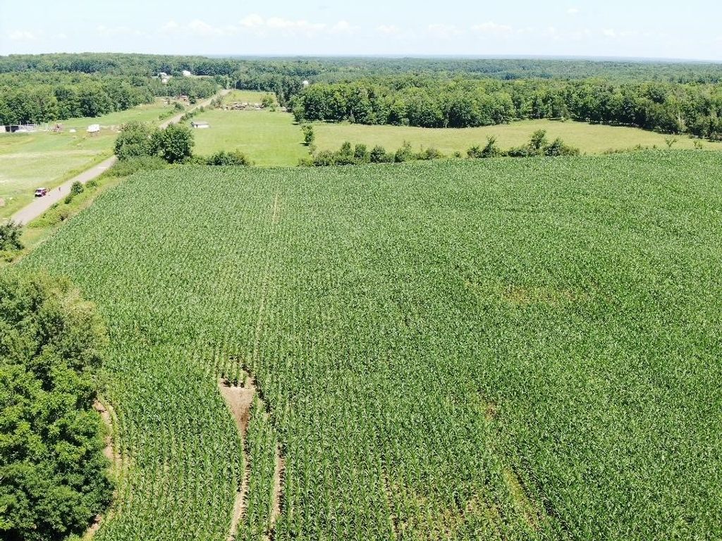 Image 3 of property listing at 00 110th Street, Frederic, WI 54837