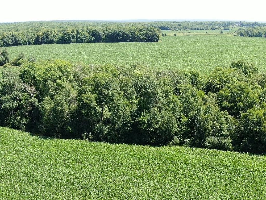 Image 6 of property listing at 00 110th Street, Frederic, WI 54837