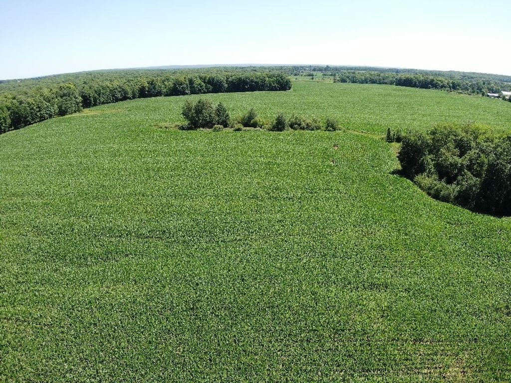 Image 7 of property listing at 00 110th Street, Frederic, WI 54837