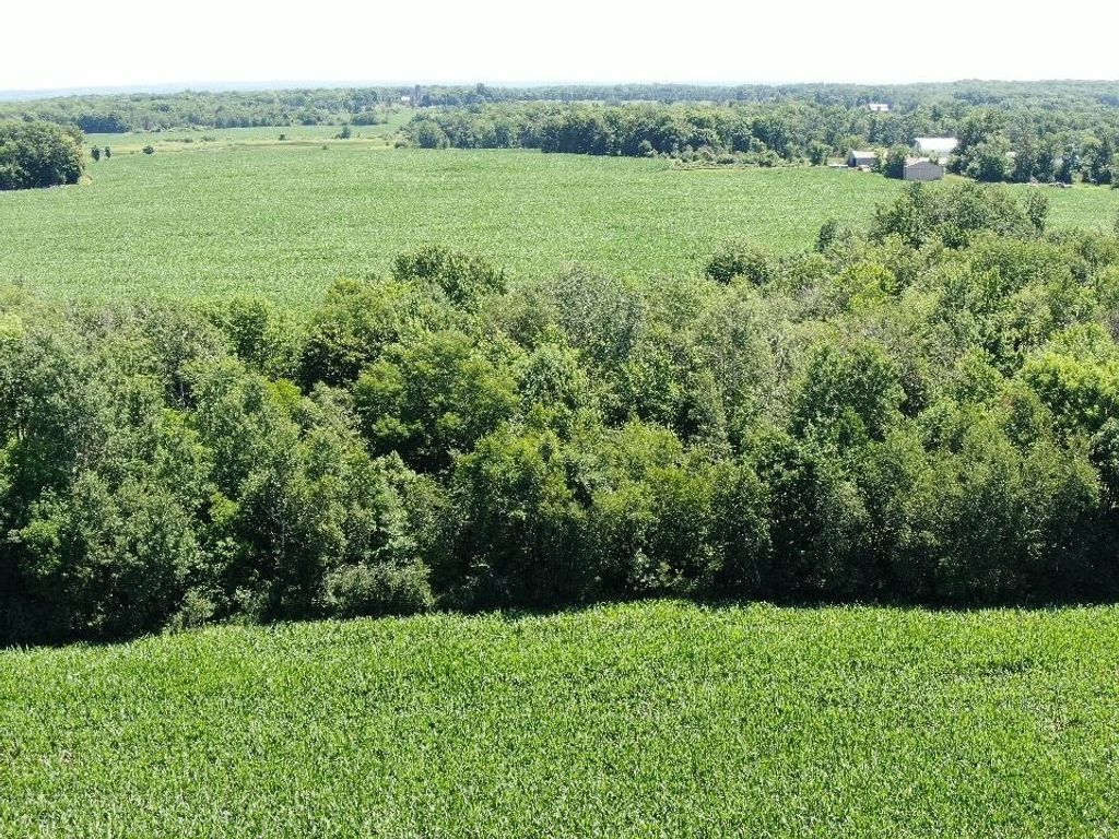 Image 9 of property listing at 00 110th Street, Frederic, WI 54837