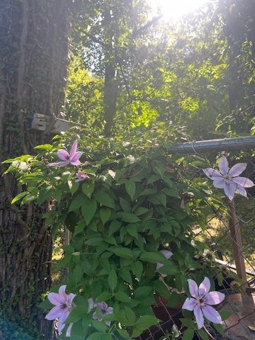 34 Basore Drive, Bella Vista, AR 72715