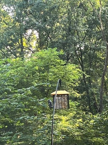 34 Basore Drive, Bella Vista, AR 72715