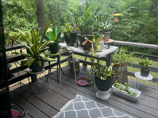 34 Basore Drive, Bella Vista, AR 72715