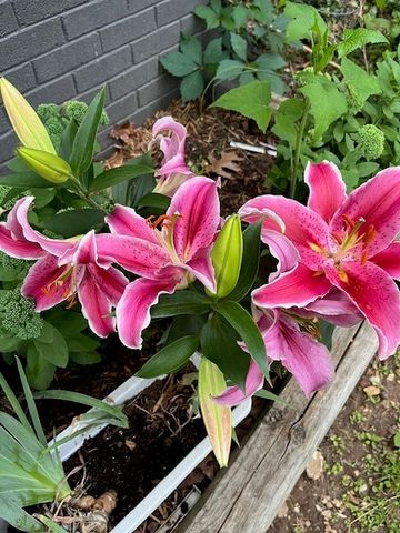 34 Basore Drive, Bella Vista, AR 72715