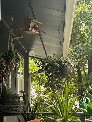 34 Basore Drive, Bella Vista, AR 72715