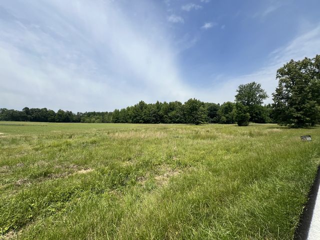 0 Indian Mound Rd, Indian Mound, TN 37079