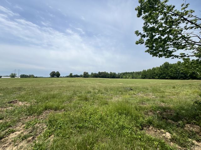 0 Indian Mound Rd, Indian Mound, TN 37079