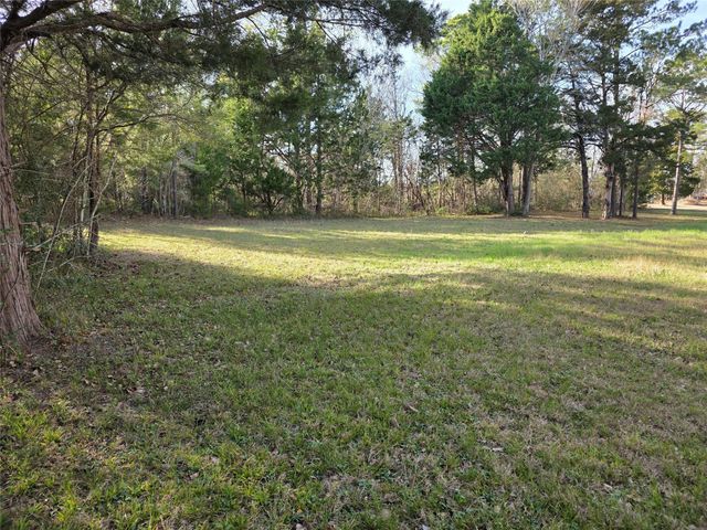 TBD Toucan Lane, Coldspring, TX 77331