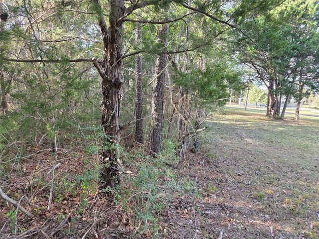 TBD Toucan Lane, Coldspring, TX 77331