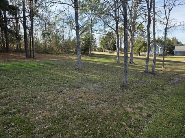 TBD Toucan Lane, Coldspring, TX 77331