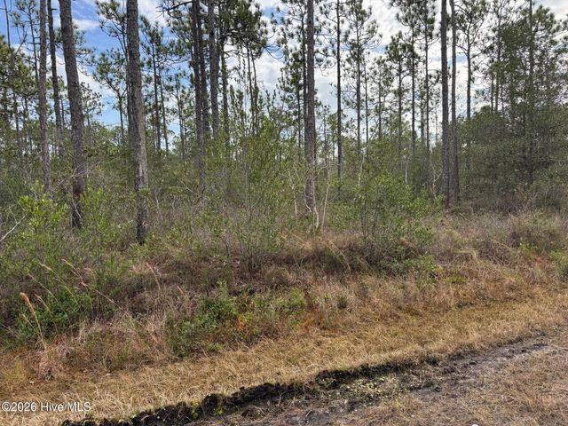 Lot 22 Pepperhill Road, Southport, NC 28461