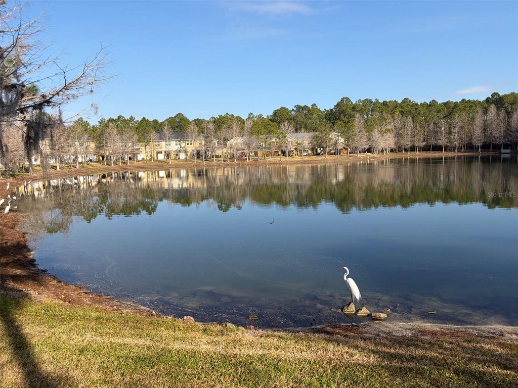 Image 21 of property listing at 8162 SERENITY SPRING DR., Windermere, FL 34786