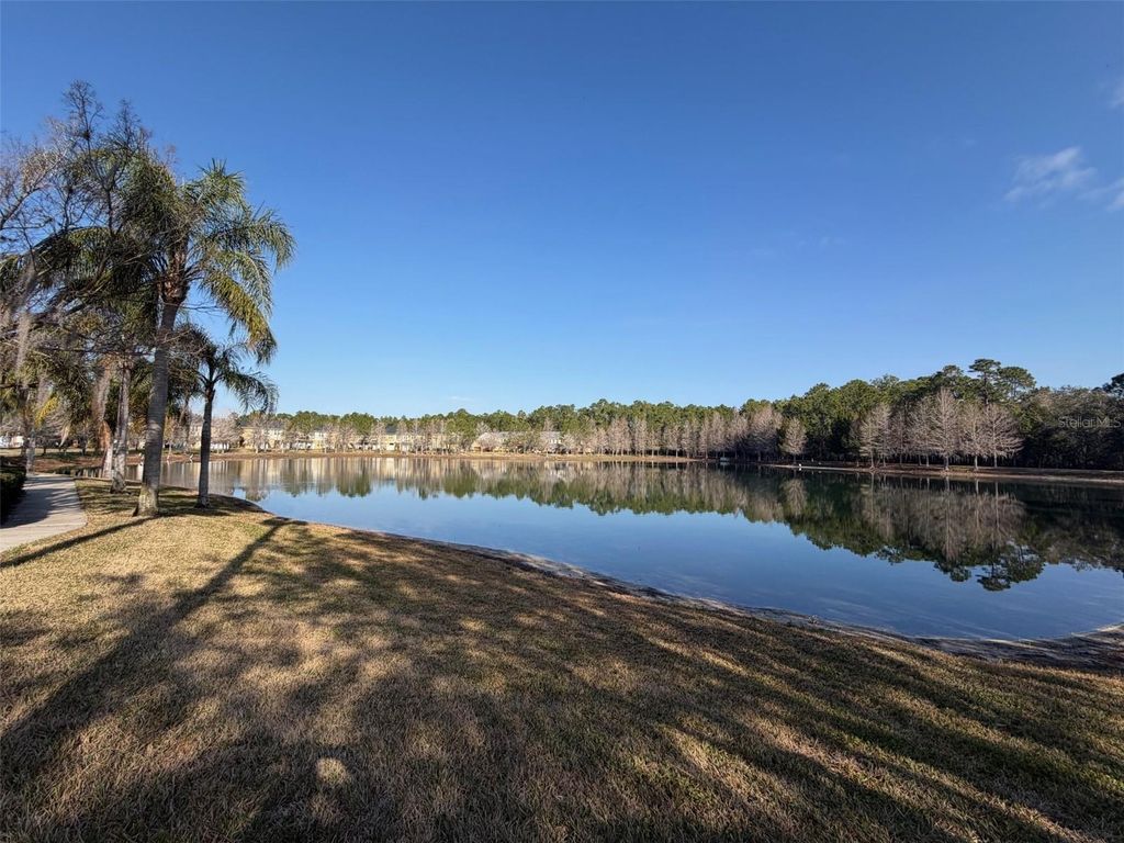 Image 22 of property listing at 8162 SERENITY SPRING DR., Windermere, FL 34786