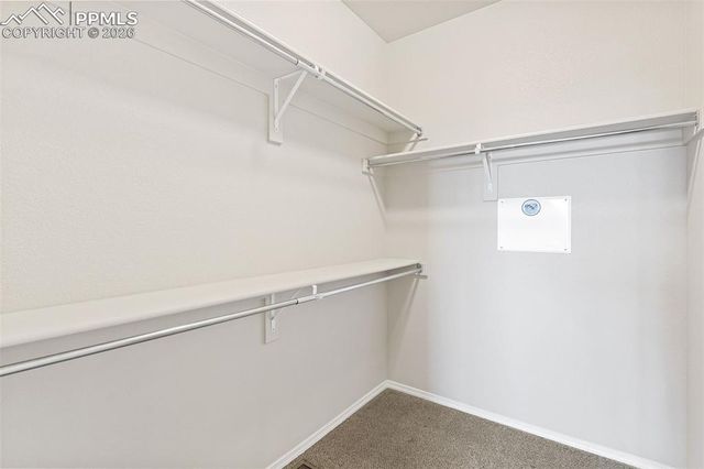 5372 Prominence Point, Colorado Springs, CO 80923