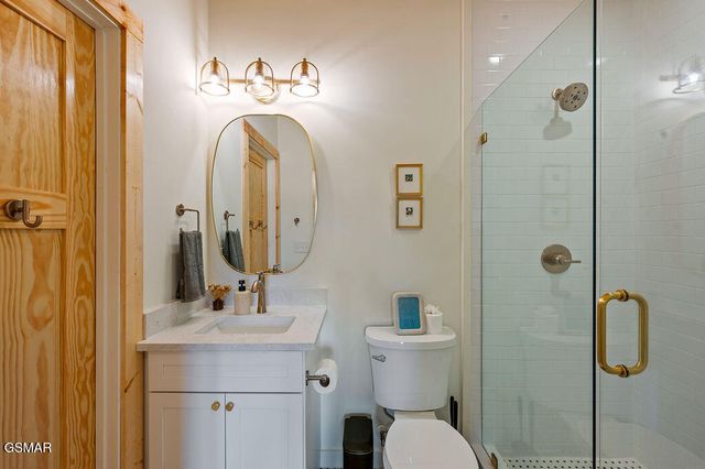 788 Chestnut Drive, Gatlinburg, TN 37738