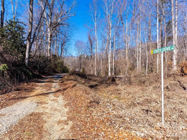 124 Cozy Cove Lane, Saluda, NC 28773