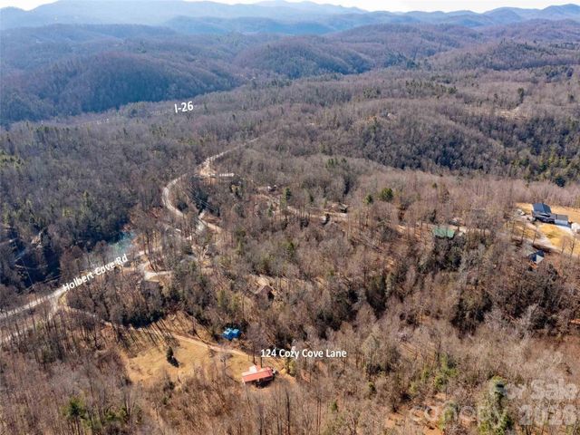 124 Cozy Cove Lane, Saluda, NC 28773