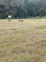 7121 County Road 125, Hallettsville, TX 77964