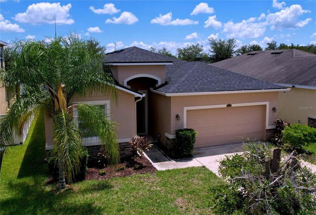 11428 WARREN OAKS PLACE, Riverview, FL 33578