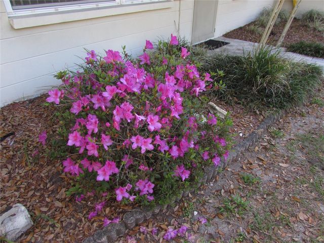 11931 N BEARL TERRACE, Dunnellon, FL 34433