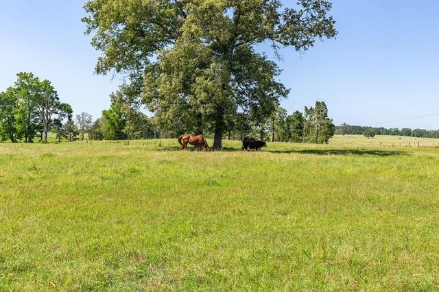 R13687 Cheeseland Road, Pollok, TX 75969