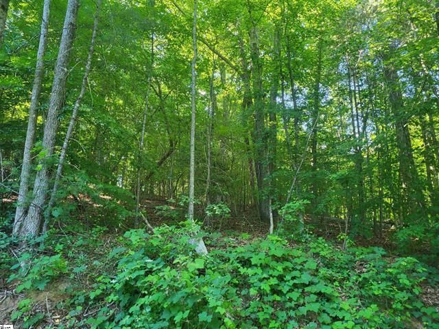 00 Hidden Valley Road, Marietta, SC 29661