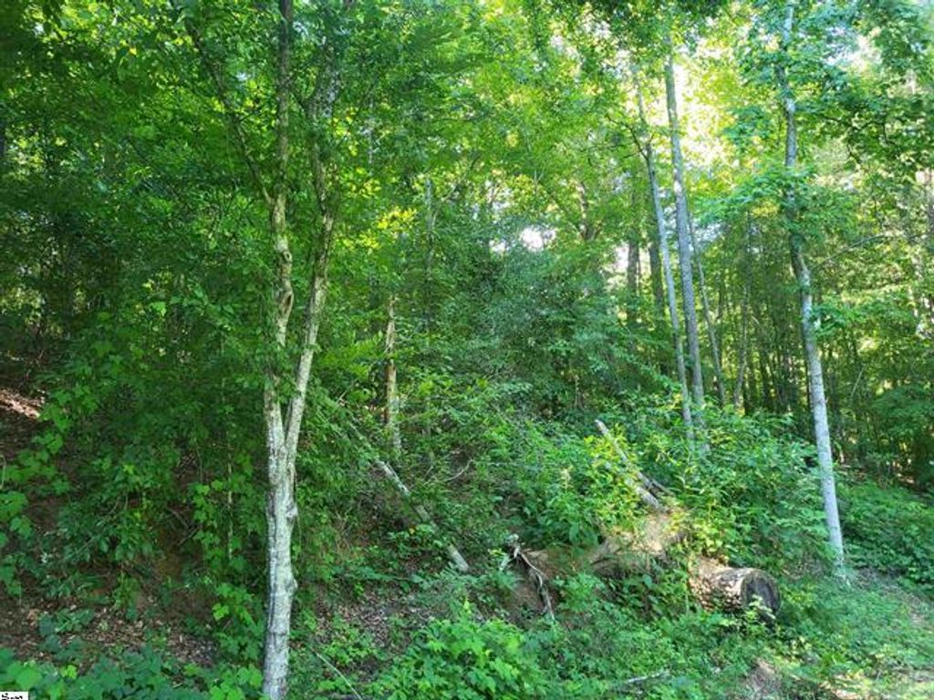 00 Hidden Valley Road, Marietta, SC 29661