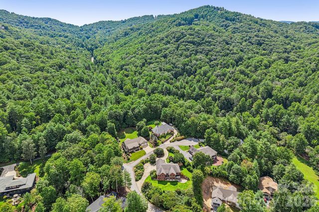 28 Tudor Crescent Court, Hendersonville, NC 28739
