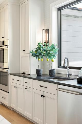 707 Ensconced Way, Chaska, MN 55318